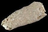 Fulgurite - Petrified Lightning #90360-1